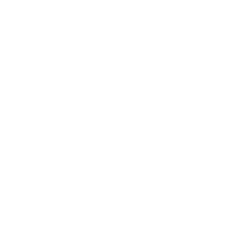 Custom Cart Icon